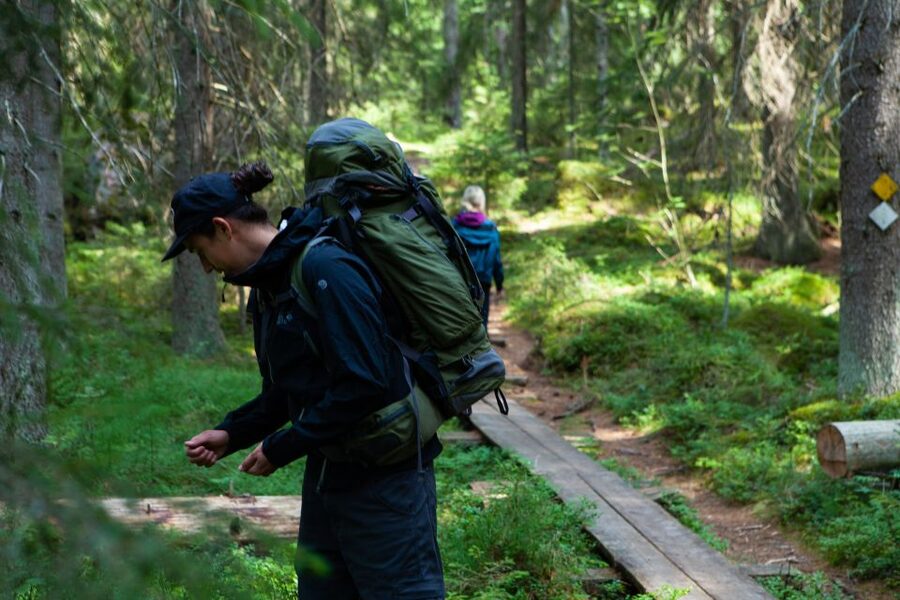From Helsinki: Mushroom Hunting Tour in a National Park - Four hours among the trees at Liesjärvi