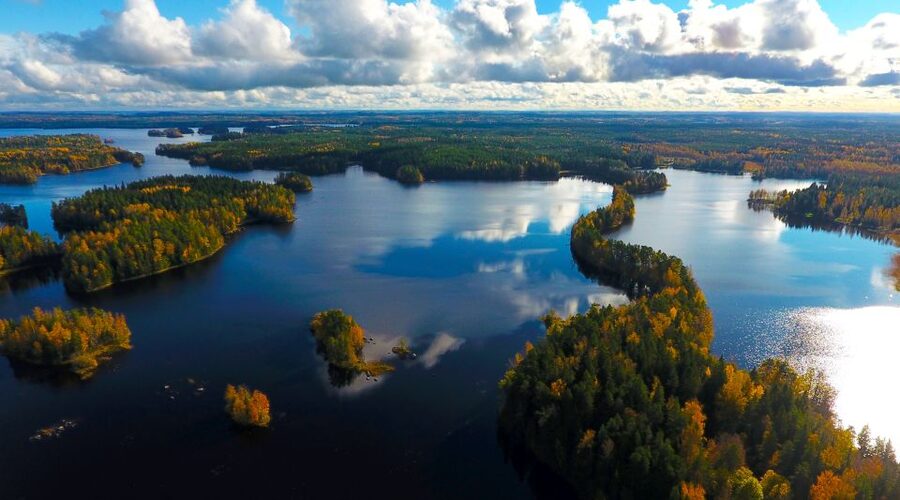 From Helsinki: Mushroom Hunting Tour in a National Park - Lunch beside the lake and coffee from the fire