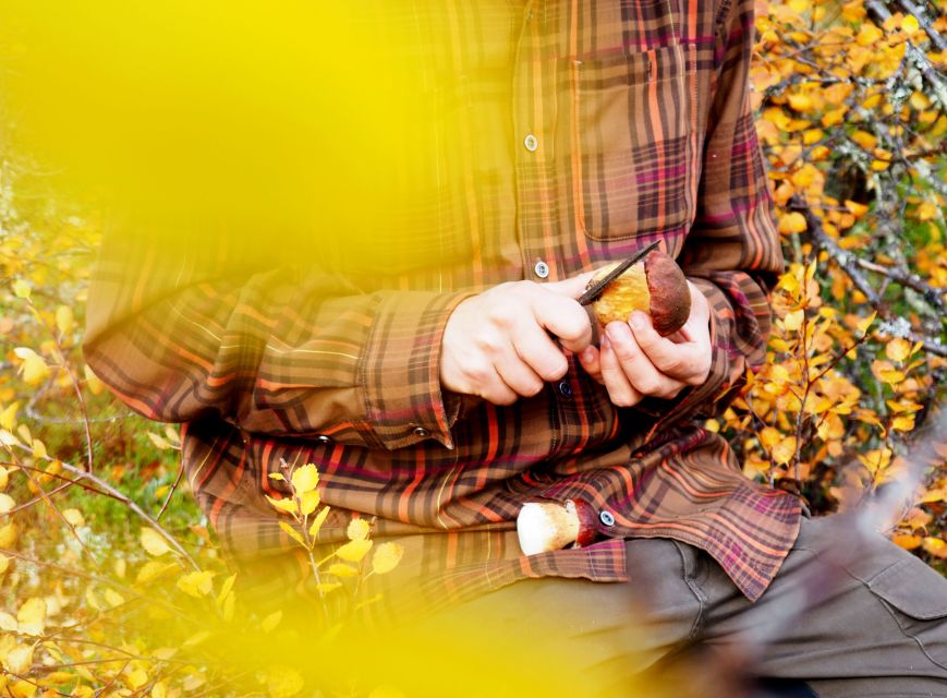 From Helsinki: Mushroom Hunting Tour in a National Park - Rain, clothing, and the outdoor reality