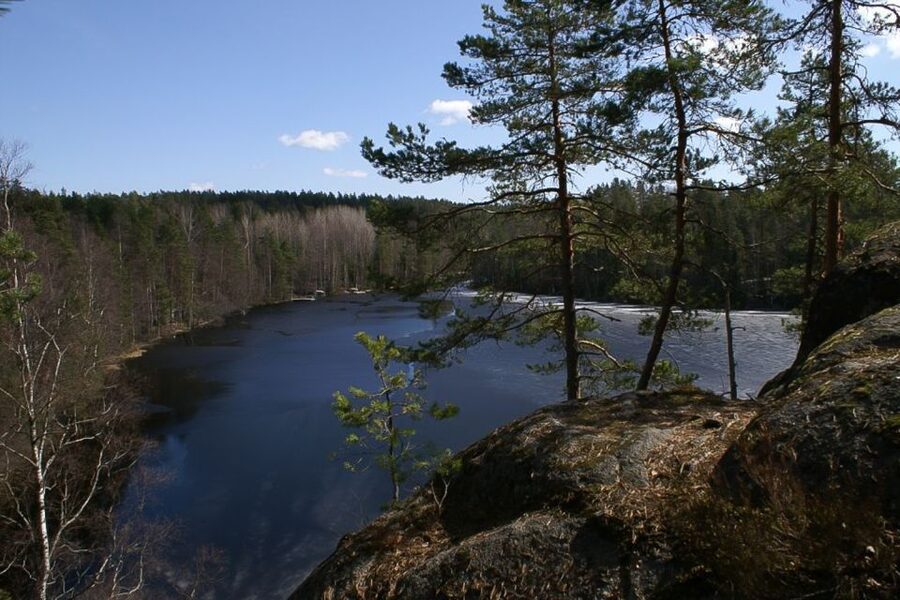 From Helsinki: Nuuksio National Park Half-Day Trip - From Railway Square to Nuuksio’s forest