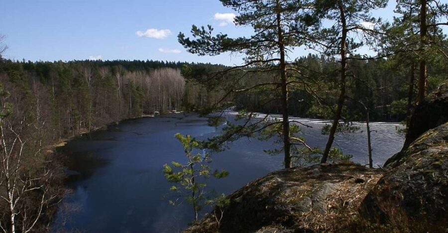 From Helsinki: Nuuksio National Park Half-Day Trip - What the hike feels like underfoot