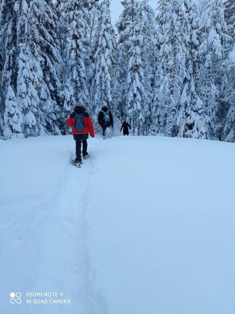From Helsinki: Nuuksio National Park Hiking Tour with Food - David’s way of guiding the forest