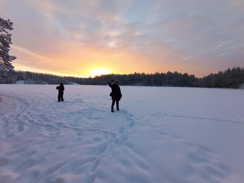 From Helsinki: Nuuksio National Park Hiking Tour with Food - Who should book this Nuuksio hike?