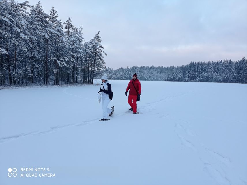 From Helsinki: Nuuksio National Park Hiking Tour with Food - Nuuksio trails, lakes, and Taiga forest