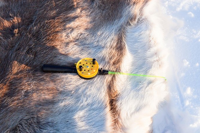 From Ivalo: Ice Fishing Safari to Lake Inari, reindeers & lunch - Reindeer, fire, and a warm Finnish lunch