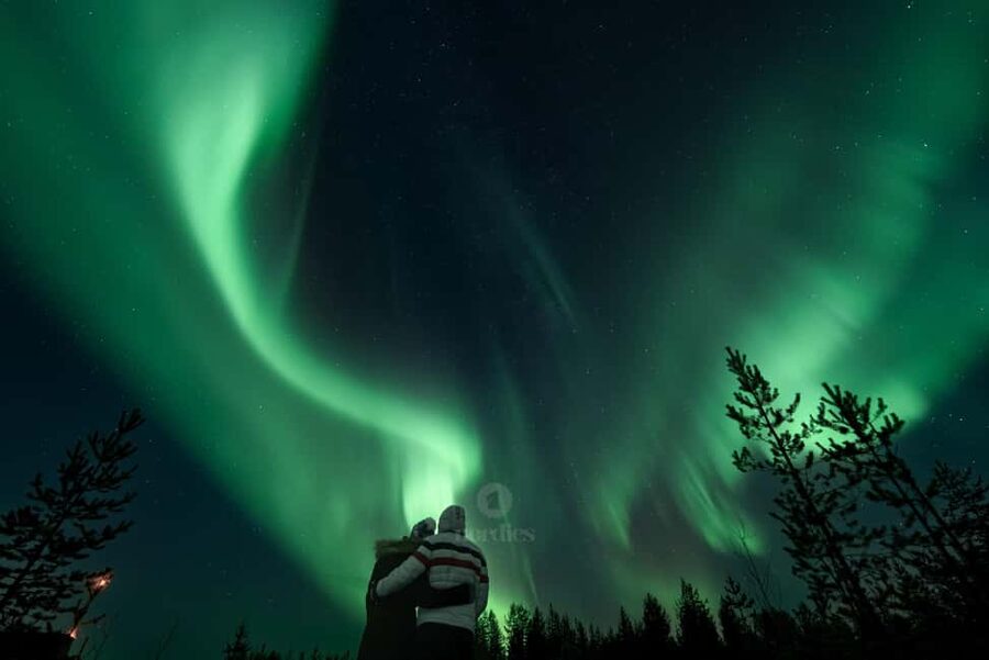 From Rovaniemi: Aurora Borealis Hunting with Photos & Videos - Who will enjoy this most