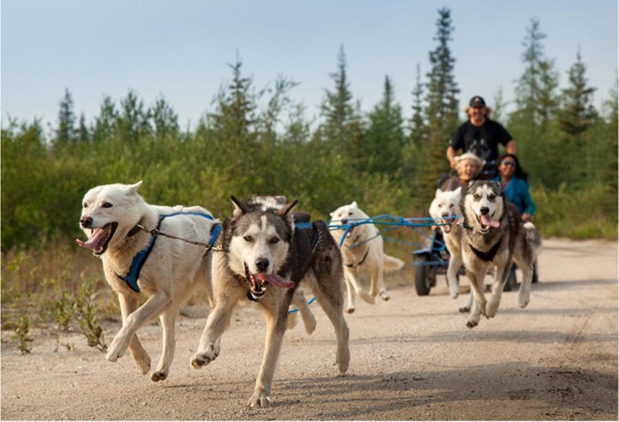 From Rovaniemi: Autumn Husky Safari Adventure - The transfer from Rovaniemi to the farm