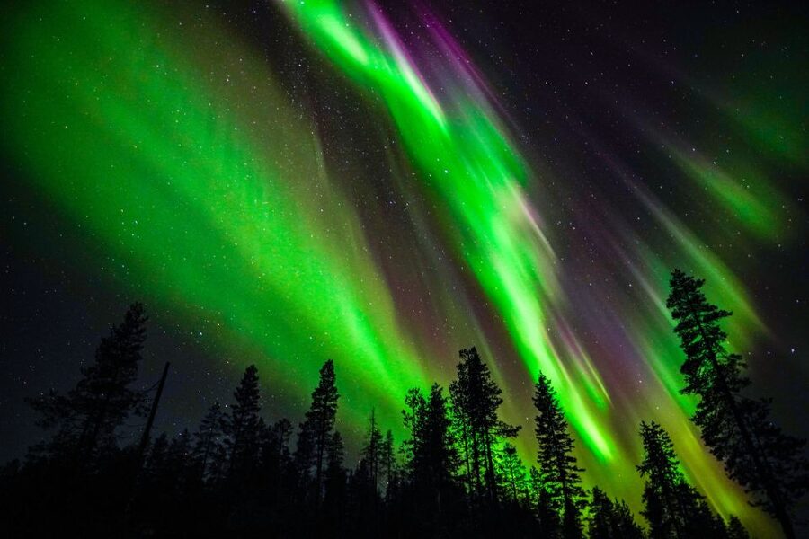 From Rovaniemi: Family-Friendly Northern Lights Tour - Key points to know before booking