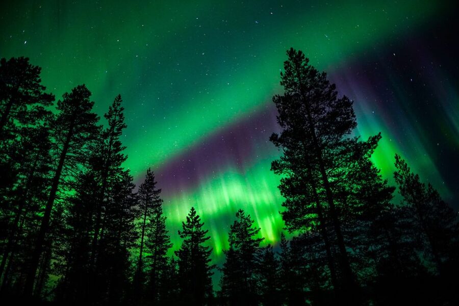 From Rovaniemi: Family-Friendly Northern Lights Tour - The teepee fire is more than a warm-up stop