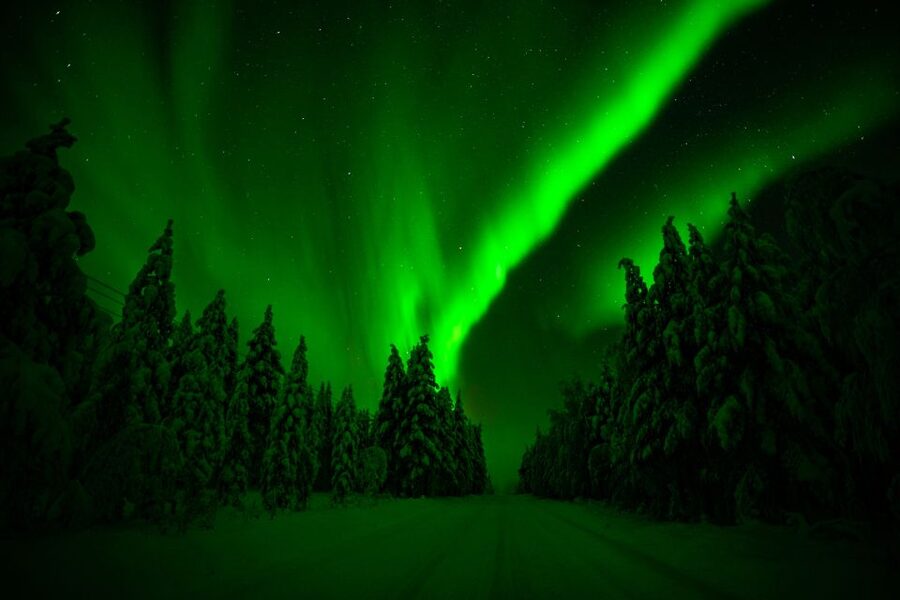 From Rovaniemi: Family-Friendly Northern Lights Tour - Practical details that make the night easier