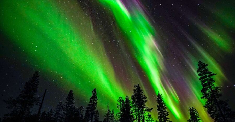 From Rovaniemi: Family-Friendly Northern Lights Tour - Should you book it?