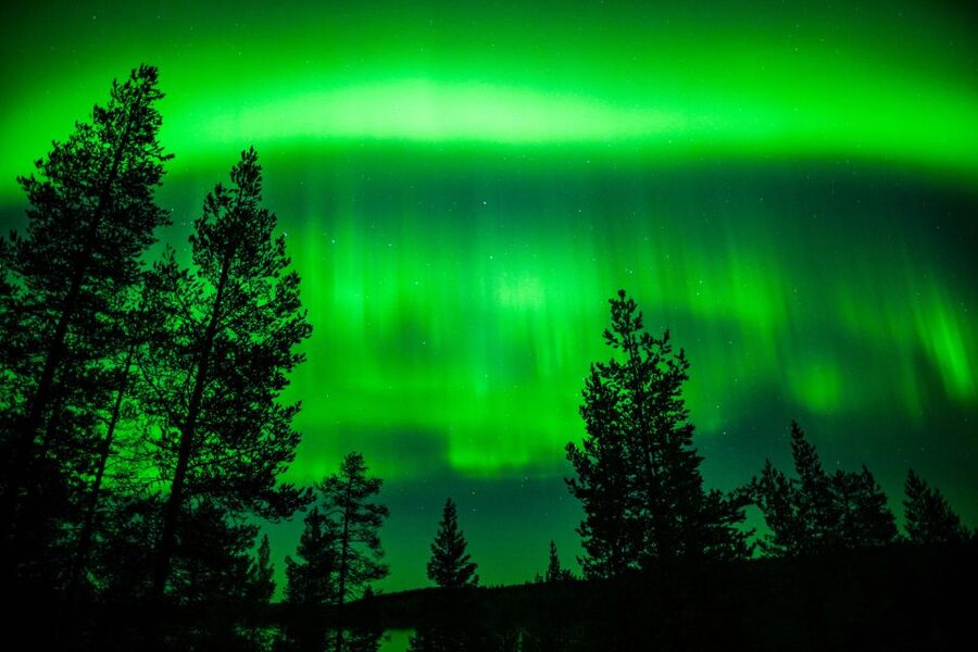 From Rovaniemi: Family-Friendly Northern Lights Tour - FAQ