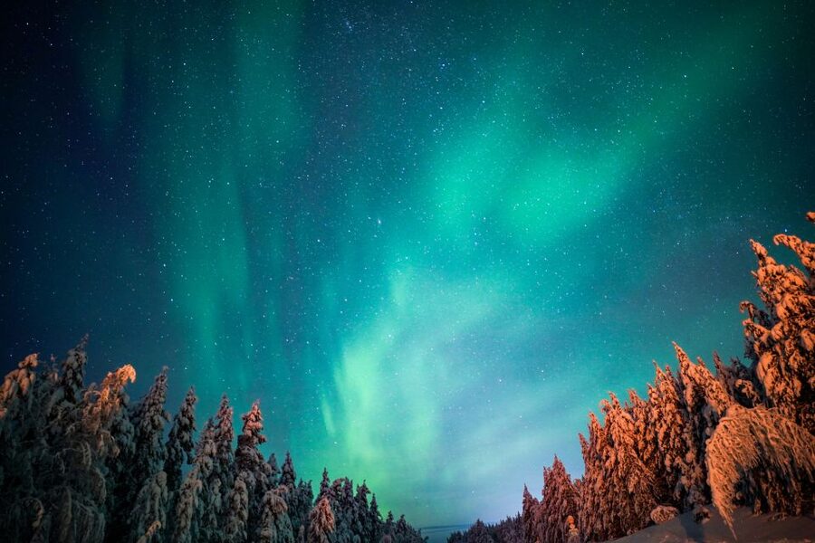 From Rovaniemi: Family-Friendly Northern Lights Tour - A three-hour plan that works for young children