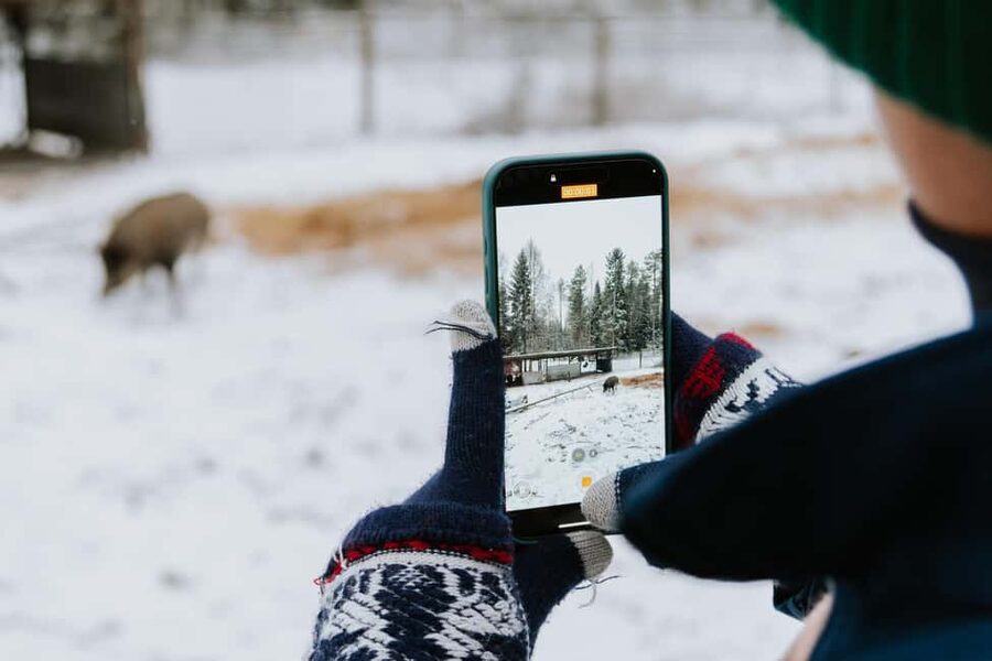 From Rovaniemi: Family Friendly Visit to Ranua Wildlife Park - Why Ranua Works Well for a Lapland Family Day
