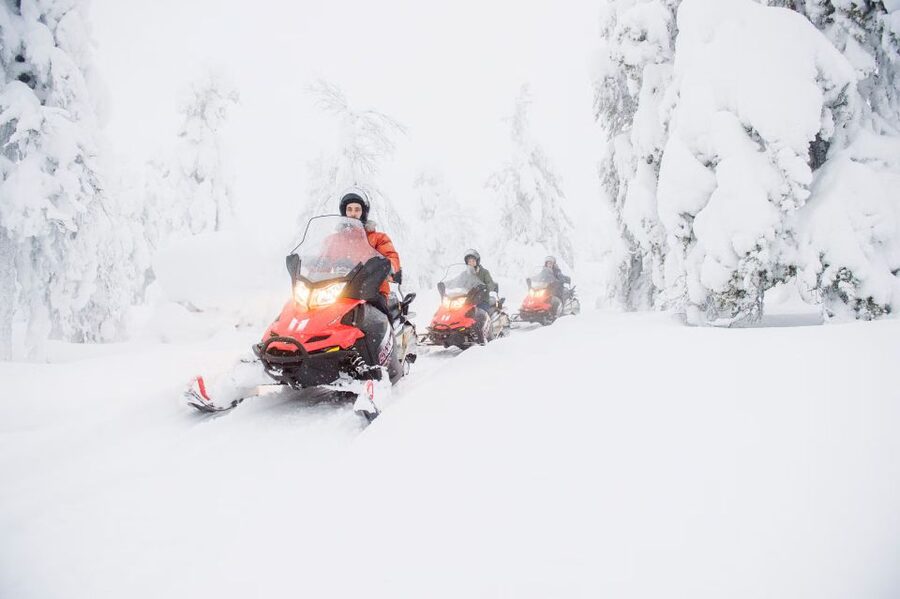 From Rovaniemi: Guided Lapland Snowmobile Adventure - Key points at a glance