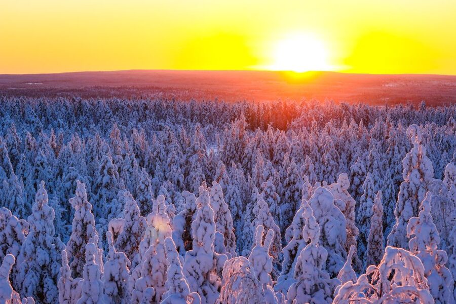 From Rovaniemi: Guided Lapland Snowmobile Adventure - Leaving Rovaniemi for the frozen north