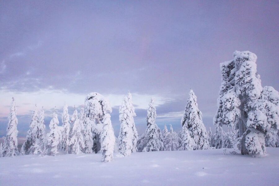 From Rovaniemi: Korouoma Canyon and Frozen Waterfalls Tour - Hiking Down Into Korouoma Canyon