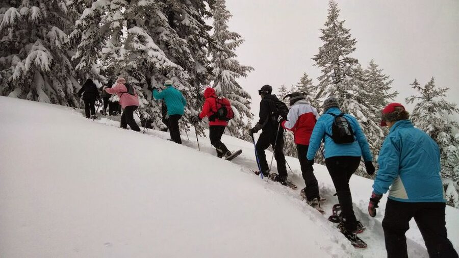 From Rovaniemi: Korouoma Frozen Waterfalls Small-Group Hike - Frozen waterfalls and the limits of winter conditions