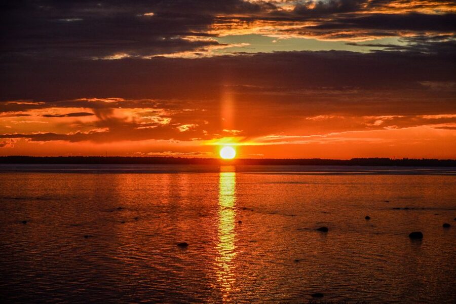 From Rovaniemi: Midnight Sun Forest Lake Float - What floating under the midnight sun feels like