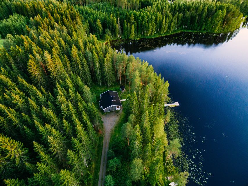 From Rovaniemi: Midnight Sun Forest Lake Float - Hot blueberry juice and gingerbread at the shore