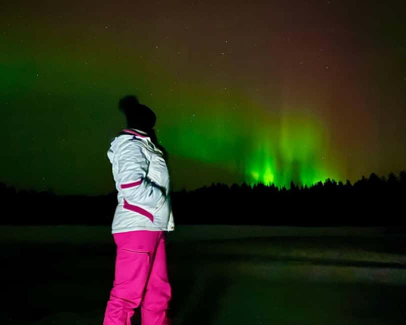 From Rovaniemi: Night Tour in Search of the Aurora with BBQ - Stop one: a first look at Lapland