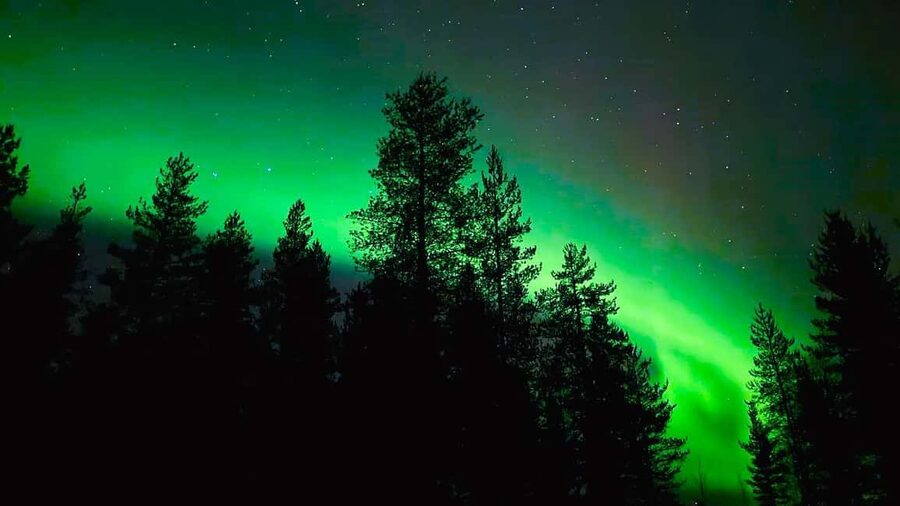 From Rovaniemi: Night Tour in Search of the Aurora with BBQ - How the photography help works