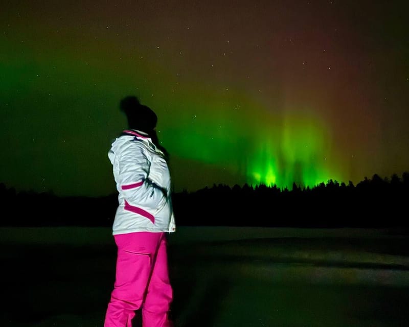 From Rovaniemi: Night Tour in Search of the Aurora with BBQ - What the $85 price buys you