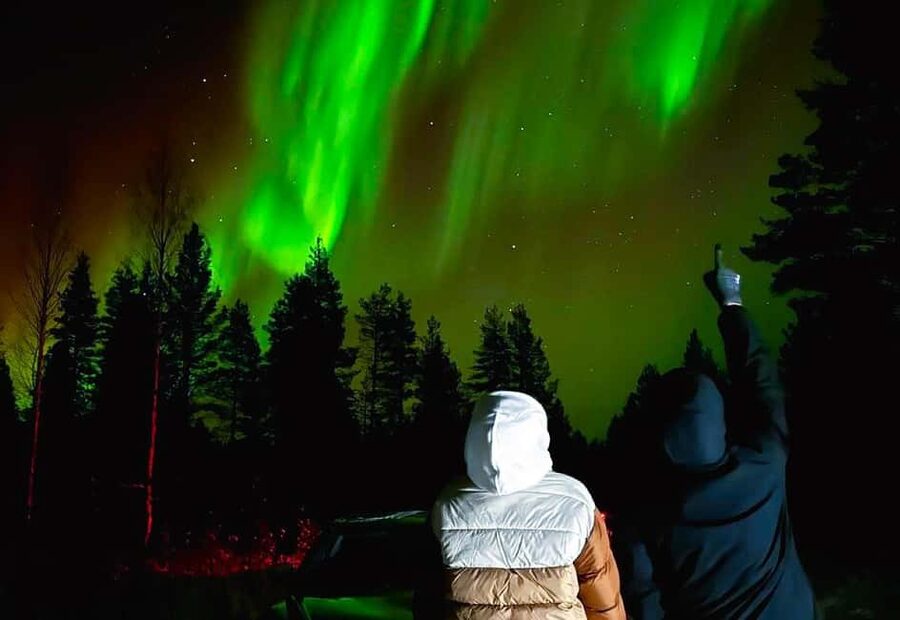 From Rovaniemi: Night Tour in Search of the Aurora with BBQ - Stop three: the short secret stop