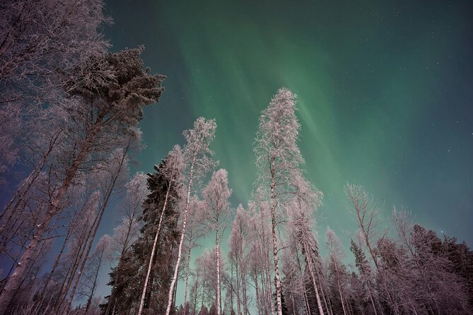 From Rovaniemi: Northern Lights Tour with Campfire Snacks - Key points to know before booking