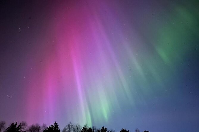 From Rovaniemi: Northern Lights Tour with Campfire Snacks - A campfire night beneath the Arctic sky