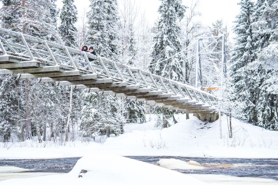 From Rovaniemi: Private Photoshoot in the Lappish Wilderness - Practical details before you reserve