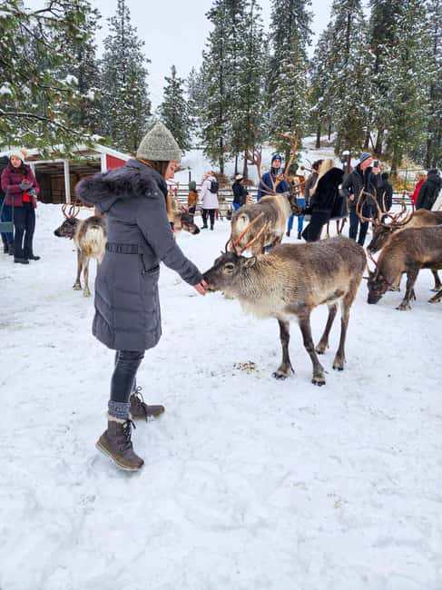 From Rovaniemi: Reindeer Farm Visit with Sleigh Ride - Stories and warmth inside the kota hut