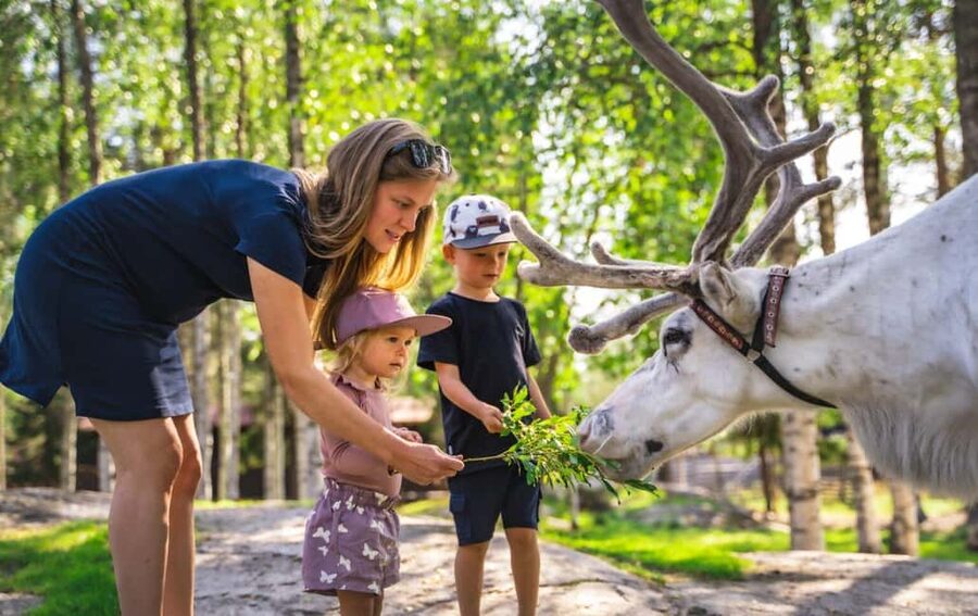 From Rovaniemi: Reindeer Farm Visit with Sleigh Ride - Timing, pickup, and winter dates