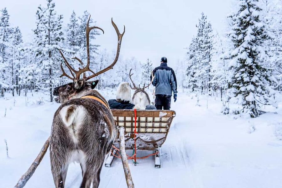 From Rovaniemi: Reindeer Farm Visit with Sleigh Ride - Who will enjoy this farm visit most