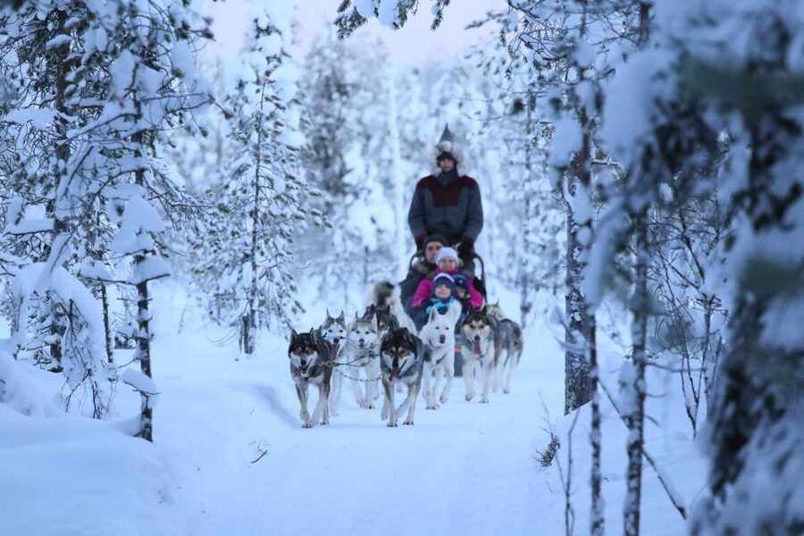 From Rovaniemi: Self-Driven 10km Husky Sled Ride - How the five-hour schedule fits together