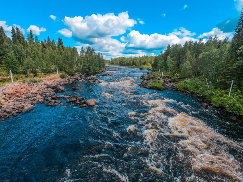 From Rovaniemi: Vikaköngäs Forest Hiking Tour - Why Vikaköngäs works as a short Rovaniemi outing