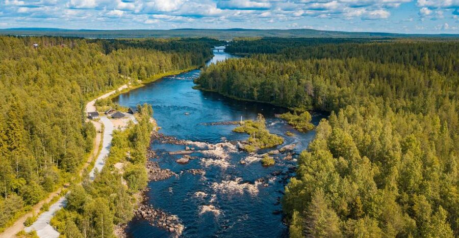 From Rovaniemi: Vikaköngäs Forest Hiking Tour - Entering the forests and rocky gorges