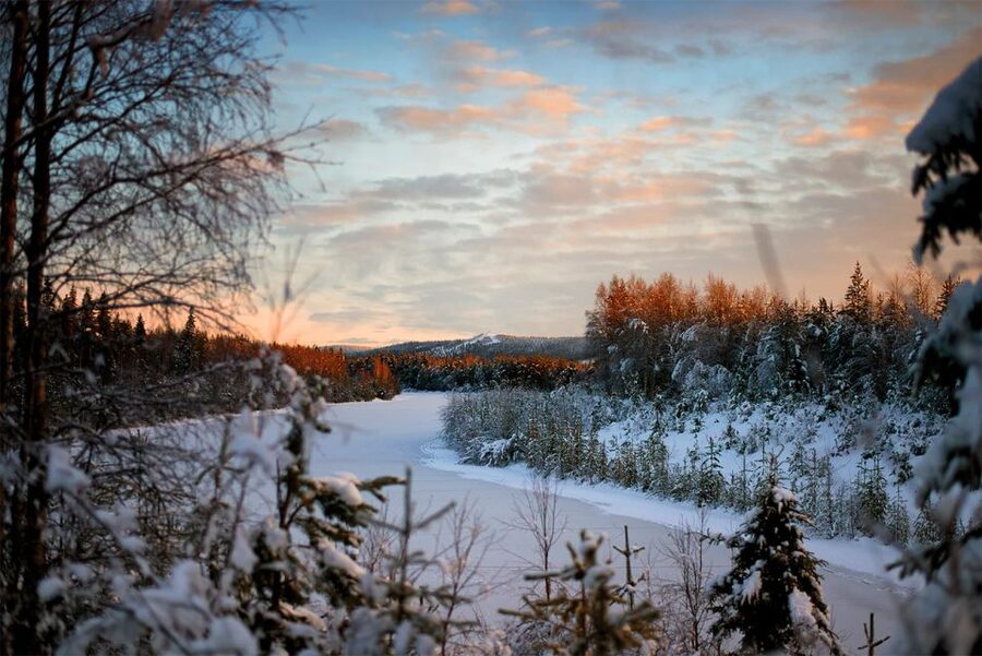 From Rovaniemi: Vikaköngäs Forest Hiking Tour - Small details that make the day easier