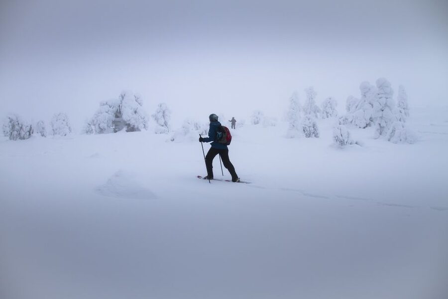 From Rovaniemi: Winter Wonderland Hike with a Hot Drink - Walking through scenery that feels almost lunar