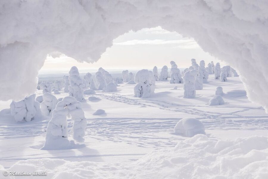 From Rovaniemi: Winter Wonderland Hike with a Hot Drink - Should you book the Wonderlapland hike?