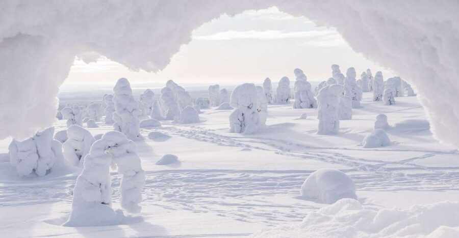 From Rovaniemi: Winter Wonderland Hike with a Hot Drink - The viewpoint and the value of a quiet pause