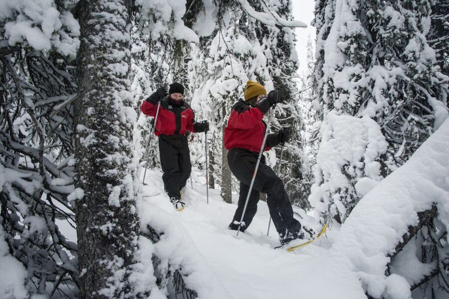 From Ruka: Snowshoeing in Oulanka National Park - Why the Kitka River makes this snowshoe walk special