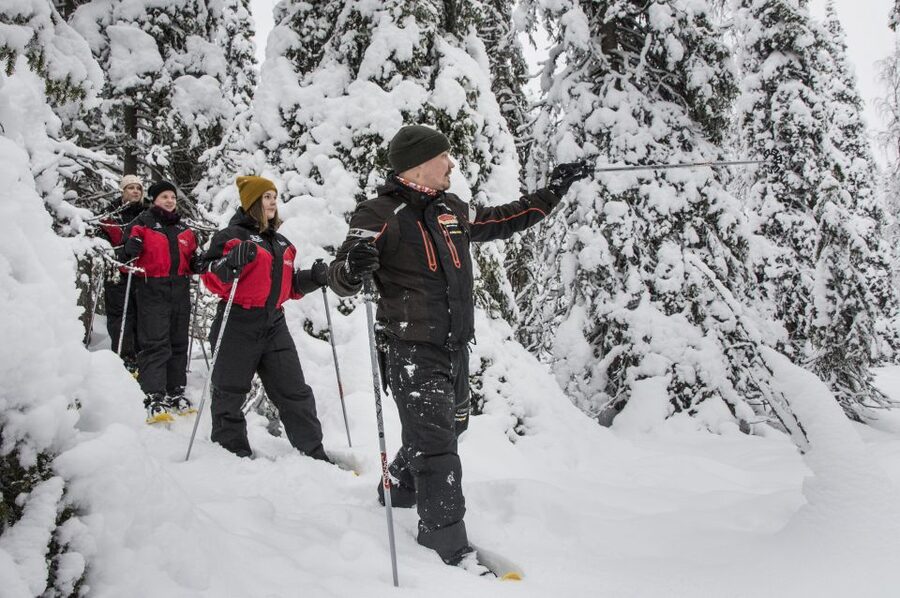 From Ruka: Snowshoeing in Oulanka National Park - Timing, transport, and the practical details