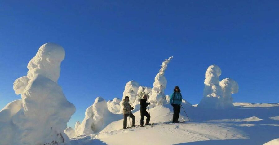From Ruka: Snowshoeing in Riisitunturi National park - Why Riisitunturi makes a fine snowshoeing day