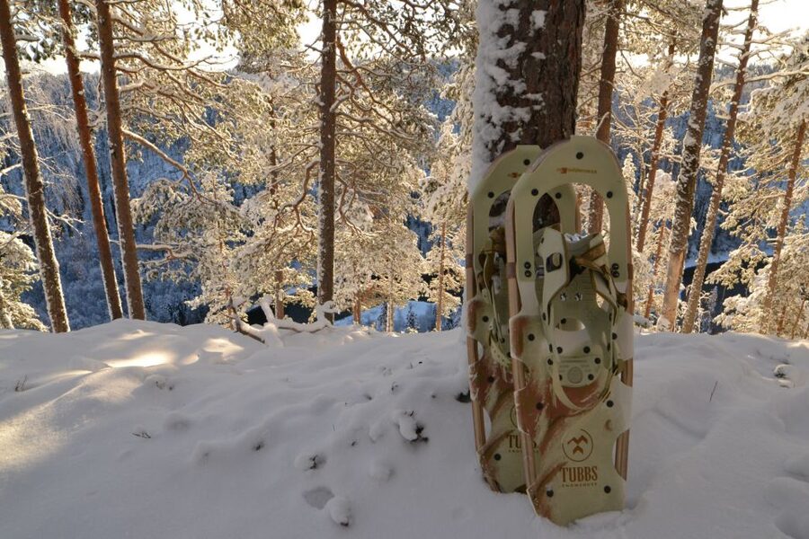 From Ruka: Snowshoeing in Riisitunturi National park - Meeting in Ruka and reaching the park