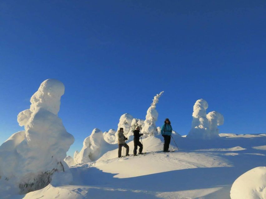 From Ruka: Snowshoeing in Riisitunturi National park - Through the snow-covered forest