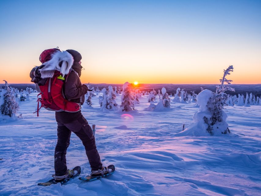 From Ruka: Snowshoeing in Riisitunturi National park - The climb to the fell views