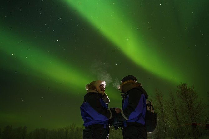 From Saariselkä: Northern lights tour to Lake Inari, incl. dinner - Is the $214.49 price fair?