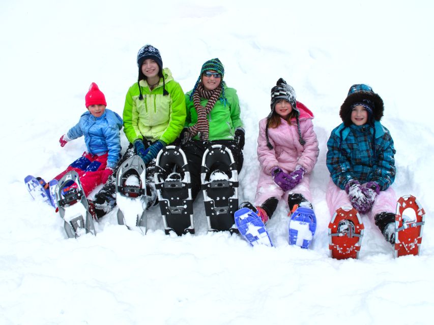 From Sirkka: Levi Summit Guided Nature Snowshoeing Tour - A quiet way to see Levi beyond the ski slopes