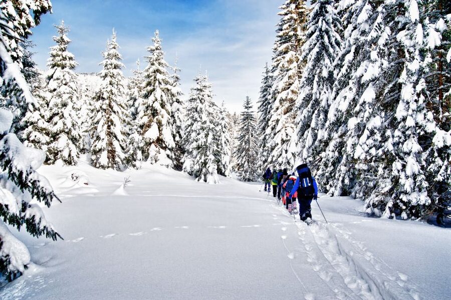 From Sirkka: Levi Summit Guided Nature Snowshoeing Tour - What the two-hour outing usually involves
